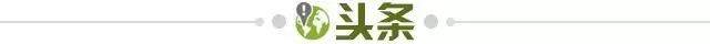 a454f29a-e415-467b-b841-81f4a1eafad7.jpg@!img01